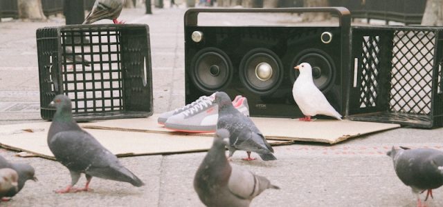 Nous fêtons cette année les 45 ans de la Puma Suede, une des paires de chaussures les plus iconiques de l&rsquo;histoire. Pour saluer l’événement, toute une série de «one shot» sera éditée par Puma et une des premières collaboration est signée Staple...