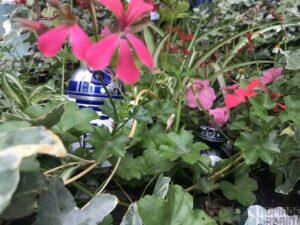 Sphero R2D2 et BB9