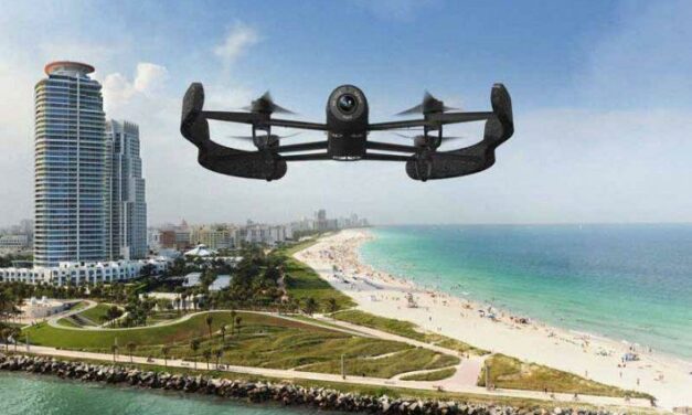 Parrot nous invite à un safari photo aérien… avec le BeBop Drone