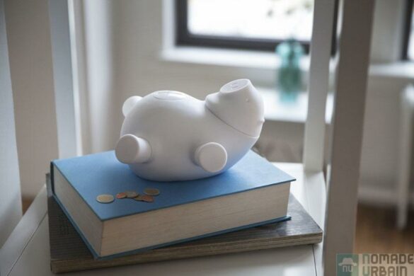 Un cochon aussi économe que connecté !