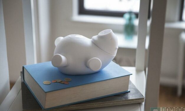 Un cochon aussi économe que connecté !