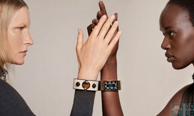Peau de serpent et pierres précieuses pour bracelet connecté de luxe !