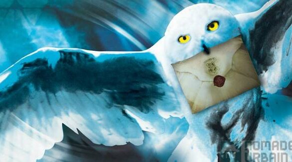 In Bed with Harry Potter (l’Exposition) !