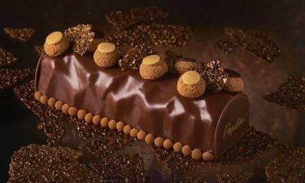 Une gourmandise par jour 5/24, Bûche Popelini, tellement chou…