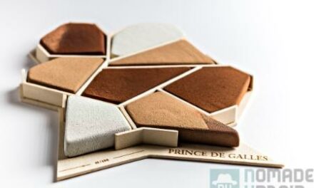 Une gourmandise par jour 6/24, La Bûche 1928 Prince de Galles, Mosaïque pâtissière