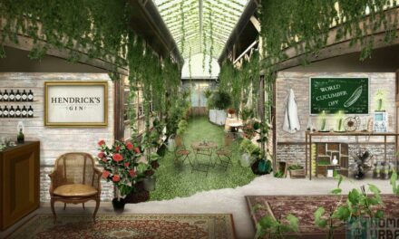 Le World Cucumber Day par Hendrick’s !
