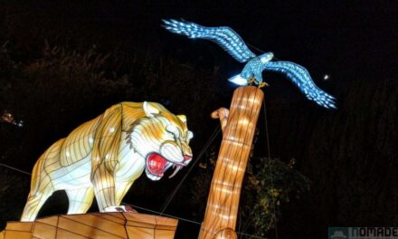 Espèces en voie l’illumination, féérie nocturne au Jardin des Plantes