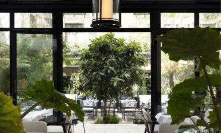 Les Jardins du Faubourg ouvre sa terrasse, un havre de paix dans un monde chaotique