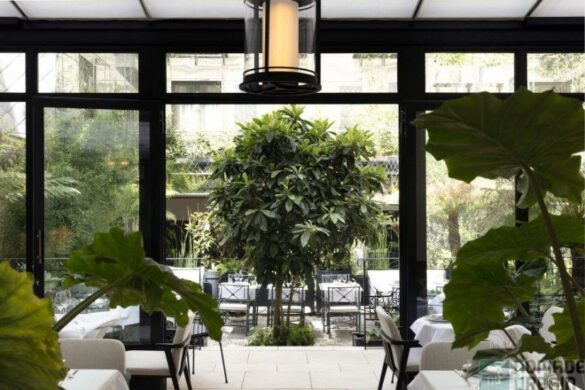 Les Jardins du Faubourg ouvre sa terrasse, un havre de paix dans un monde chaotique