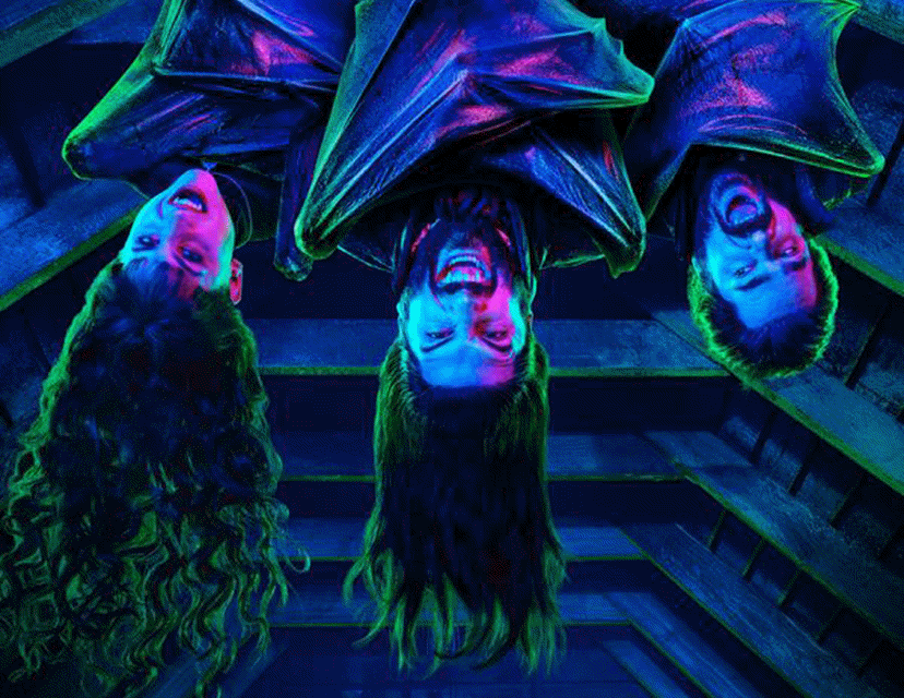Chronique série What We Do In The Shadows
