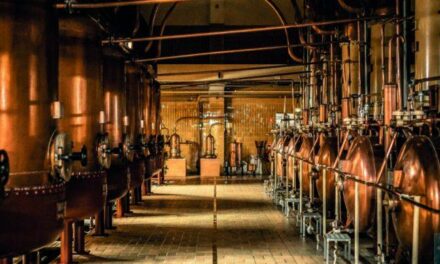 La distillerie Cointreau, une exploration multisensoriel