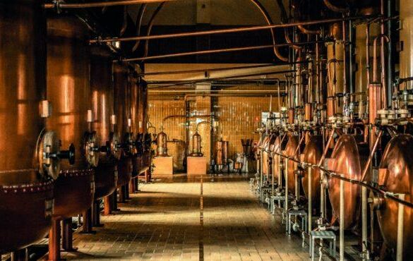 La distillerie Cointreau, une exploration multisensoriel