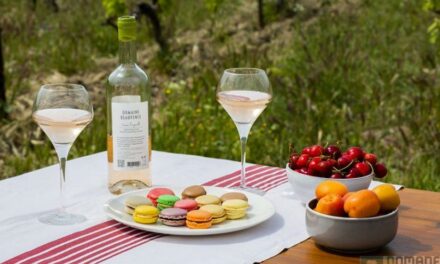 Domaine Beauvence, le rosé vegan salé/sucré !