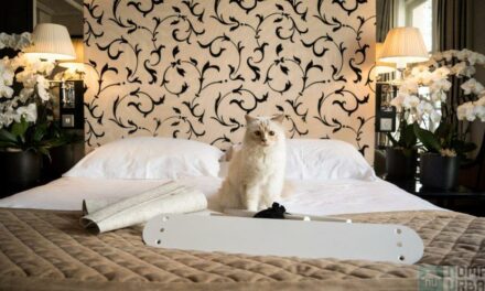 LucyBalu x Choupette, le chat de Karl Lagerfeld se fait designer