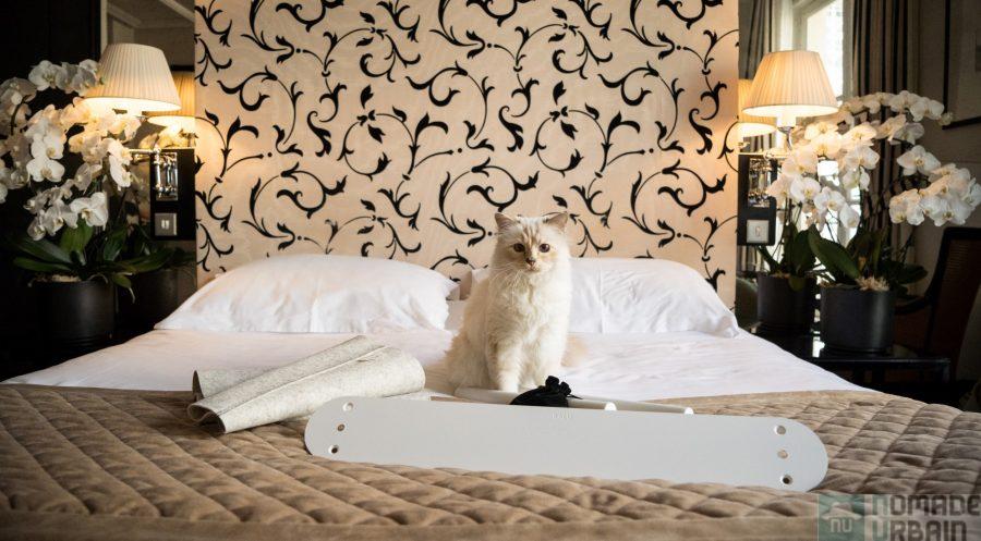 LucyBalu x Choupette, le chat de Karl Lagerfeld se fait designer