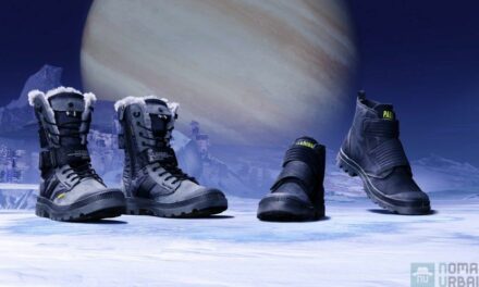 Palladium X Destiny, prêt pour la neige galactique