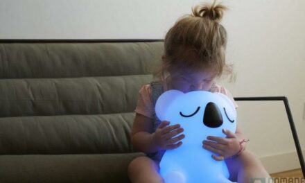 Lumin’Us, l’idée cadeau du jour (11/24), du château dans le nuage au koala lumineux !