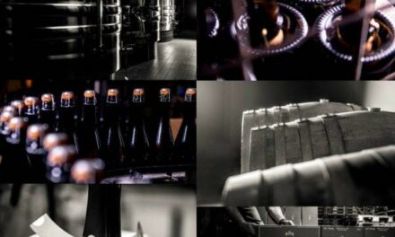 5 Champagnes à découvrir, l’idée Gourmande du jour (22/24), écolo, historique, fun, le champagne dans tous ses états !