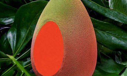 Alphonso du Park Hyatt Paris, le croisement de l’œuf et de la mangue