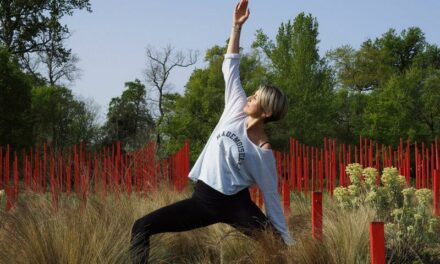 Le Jardin Millésimé Château Larrivet Haut-Brion, Yoga et Escape Game viticole