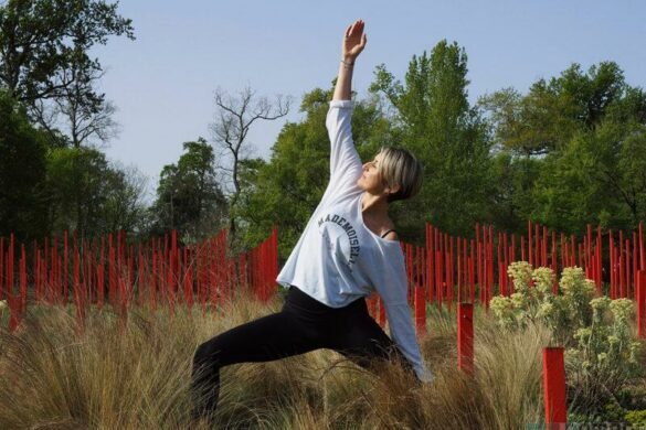 Le Jardin Millésimé Château Larrivet Haut-Brion, Yoga et Escape Game viticole