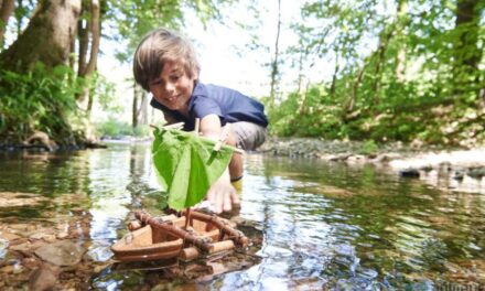Test de la gamme Haba Terra Kids : les jouets au naturel