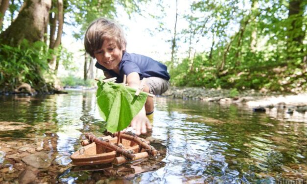 Test de la gamme Haba Terra Kids : les jouets au naturel