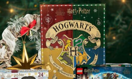 Calendrier de l’Avent Harry Potter 2021, les 3 incontournables