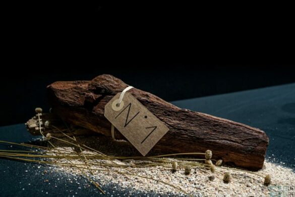 La Bûche Bois d’Atlantique de Quentin Lechat : l&rsquo;idée gourmande du jour 18/24