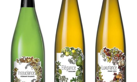 Wolfberger Le Pinot Gris Luxuriance Millésime 2019 : la nouvelle star d’Alsace