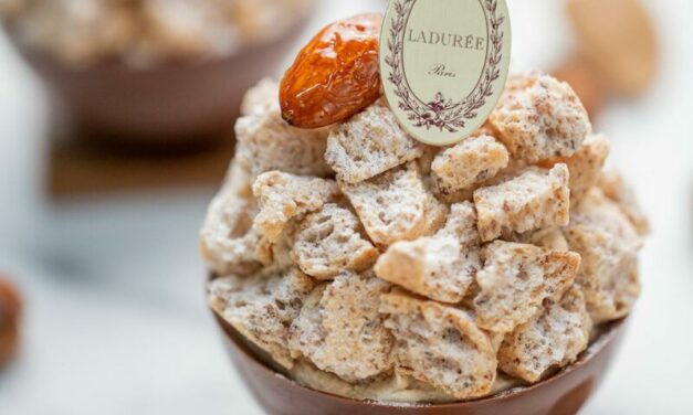 Ladurée le Succès Praliné : redégustez ce classique en édition limitée