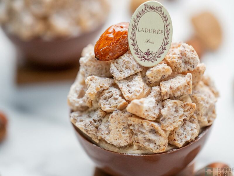 Ladurée le Succès Praliné : redégustez ce classique en édition limitée