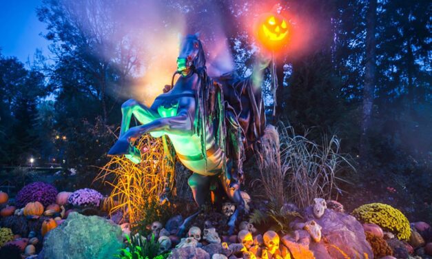 Nigloween 2022 : Nigoland passe en mode Halloween spectaculaire