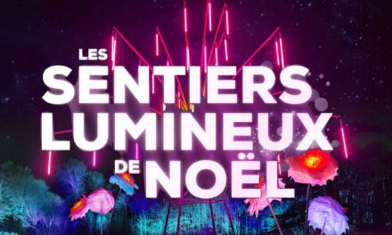 Les Sentiers Lumineux de Noël : un parcours immersif et féerique