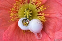 Test Sony LinkBuds WF-L900 : l’innovation ne se fait pas toujours à bon escient