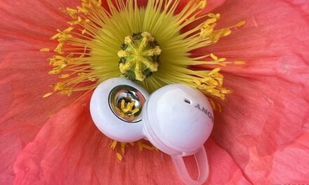 Test Sony LinkBuds WF-L900 : l’innovation ne se fait pas toujours à bon escient