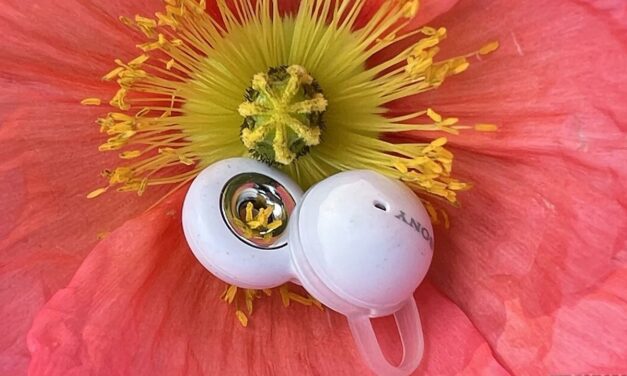Test Sony LinkBuds WF-L900 : l’innovation ne se fait pas toujours à bon escient