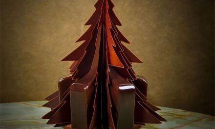 Les 3 plus belles bûches de Noël forestière : l’idée gourmande du jour 3/24