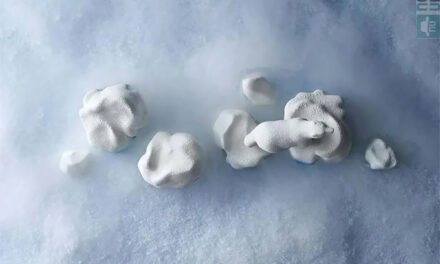 Les 3 plus belles bûches de Noël animalières 2022 : l’idée gourmande du jour 4/24