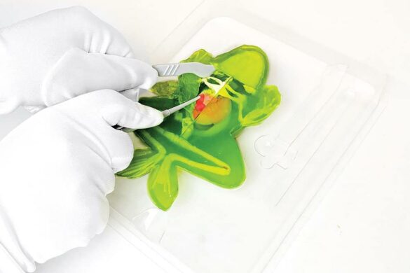 Dissect It, la dissection sans animaux et 100 % slime : l’idée jouet du jour 4/24