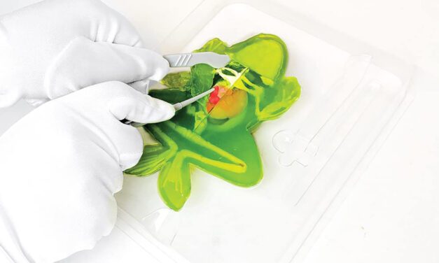 Dissect It, la dissection sans animaux et 100 % slime : l’idée jouet du jour 4/24