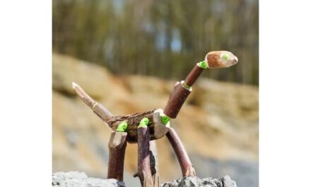 Les meilleurs 3 jouets dinosaures : l’idée jouet du jour 15/24