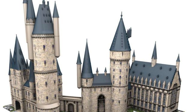 Les meilleurs Puzzle 3D Harry Potter : l’idée jouet du jour 11/24