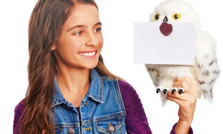 Les 3 jouets Harry Potter de Noël 2022: l’idée jouet du jour 22/24