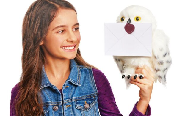 Les 3 jouets Harry Potter de Noël 2022: l&rsquo;idée jouet du jour 22/24