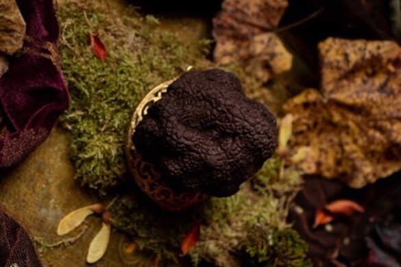 La truffe de Pâques réinventée par la Maison de la Truffe