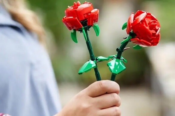 Offrir des Roses Lego sans compter est plus facile à -74 % le set