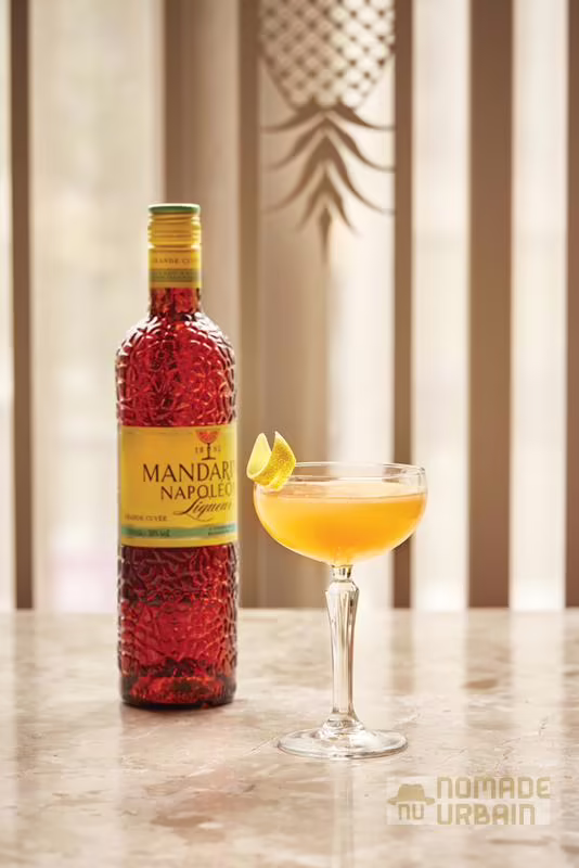 Mandarine Paper Plane