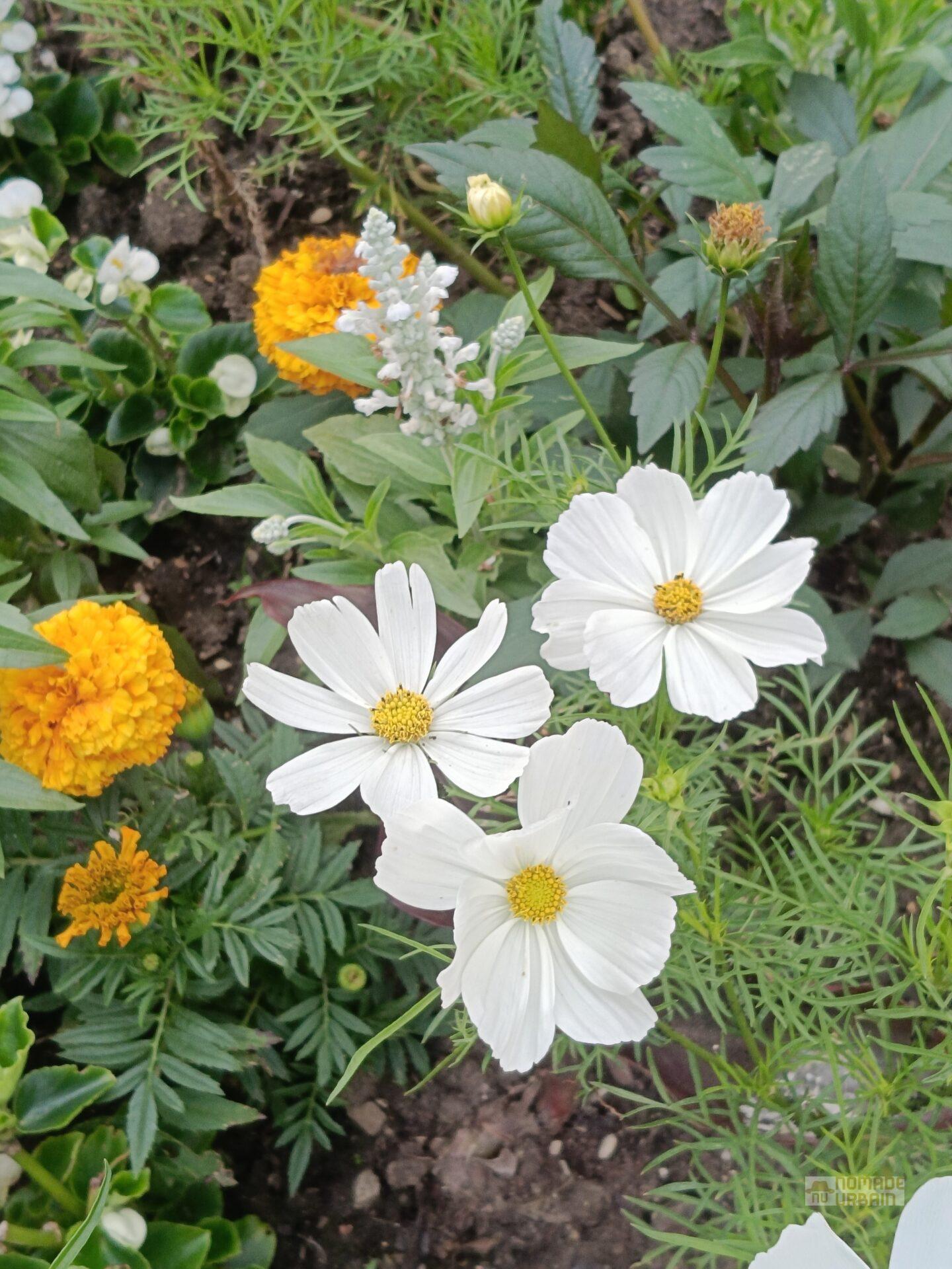 Test Realme 12+ 5G : Les beaux atours ne font pas tout