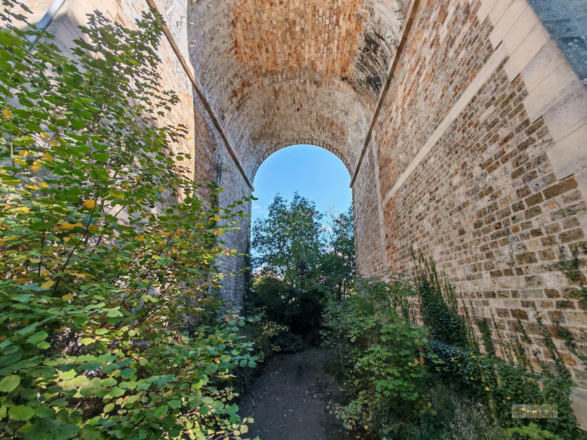 Test Honor Magic 6 Pro : un champion de la photo pour défier les géants